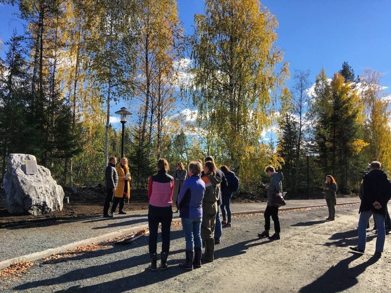 2021-10-01-karelian-birch-alley-photo-1-1200-900-px.jpg